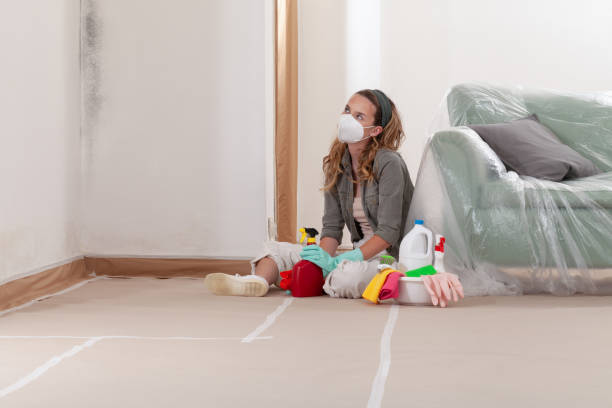 Reliable Mold Inspection And Testing contractor in San Antonio, FL by 24 Hour Mold Removal